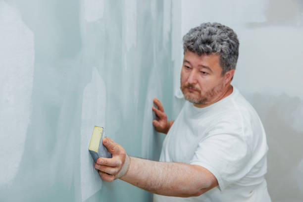Best Mold Documentation for Insurance Claims  in West Brattleboro, VT